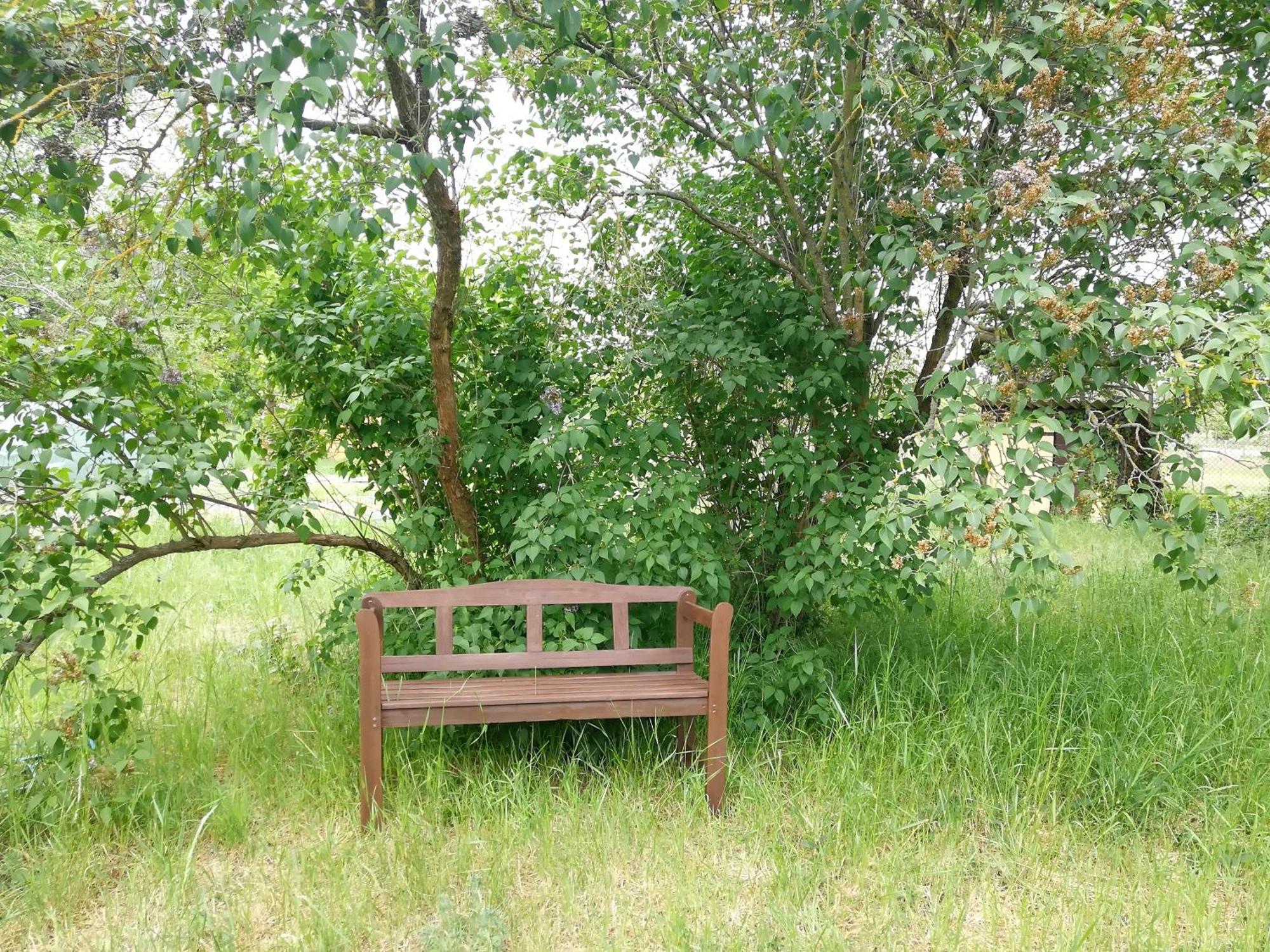 Ehemalige Bibliothek Apartment Fuer 2 Mit Kueche Kamin Netflix Parken Und Hofladen Steinhofel Dış mekan fotoğraf